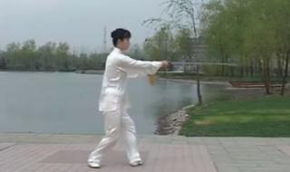 四十二式太极剑 四十二式太极剑